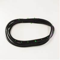  Mazda RX3 808 Sedan Front Left Door Seal